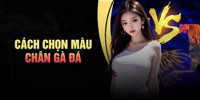 cach-chon-mau-chan-ga-da-chuan-chien-ke-thuc-thu
